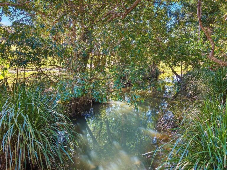 Sold - 142 Bartletts Lane - New Property in MEERSCHAUM VALE - Real Estate by Bill Johnston