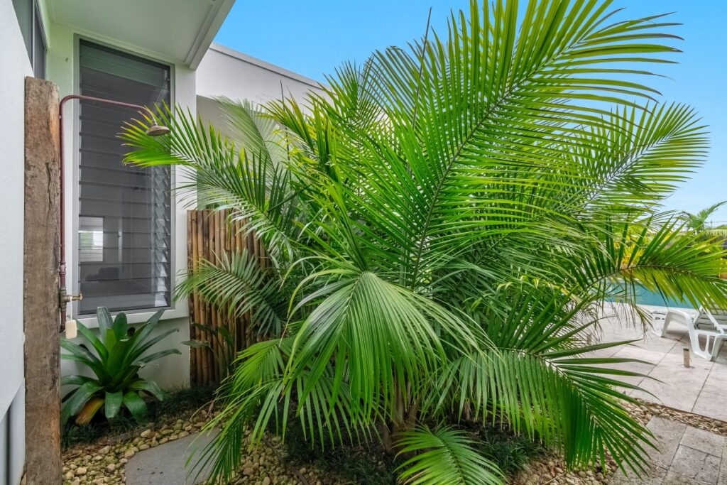 Sold - 283 Hutley Drive - New Property in Skennars Head - Real Estate by McGrath 