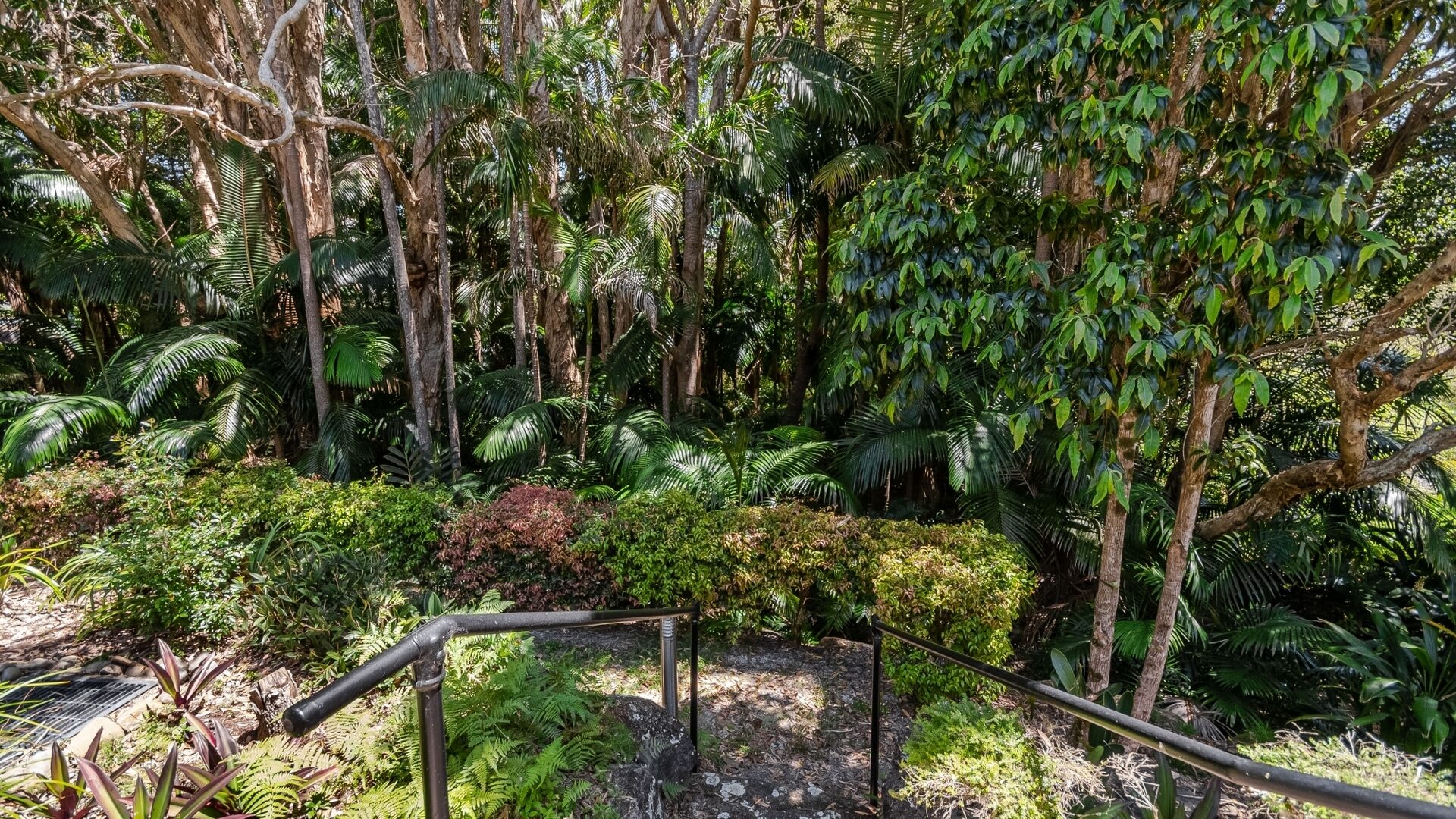 Sold - 11 Woodfield Crescent - New Property in East Ballina - Real Estate by McGrath 