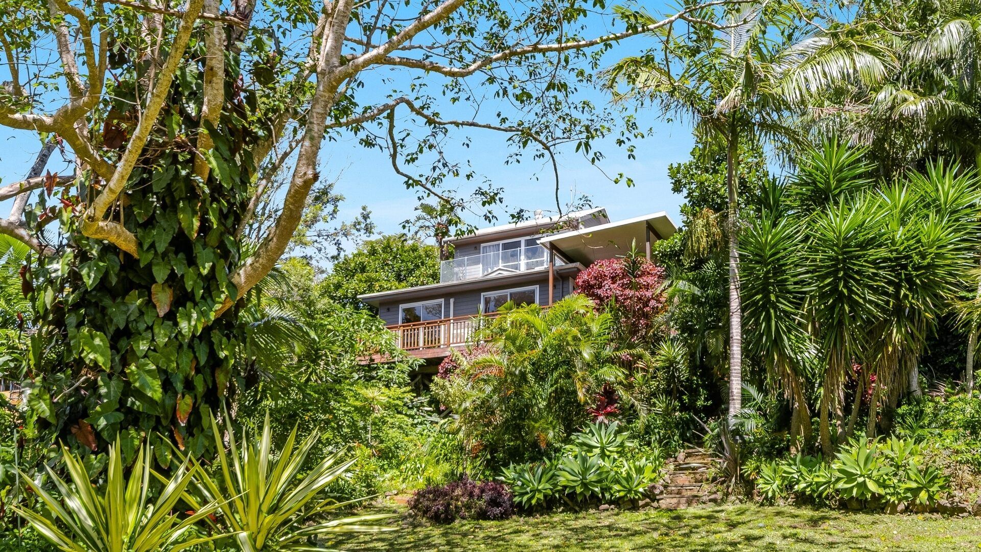 Sold - 20 Fig Tree Hill Drive - New Property in Lennox Head - Real Estate by McGrath 