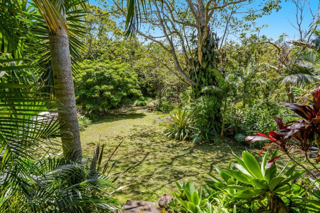 Sold - 20 Fig Tree Hill Drive - New Property in Lennox Head - Real Estate by McGrath 