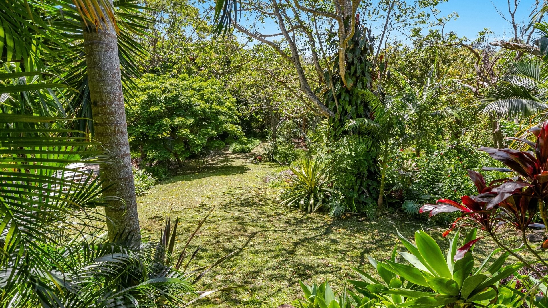 Sold - 20 Fig Tree Hill Drive - New Property in Lennox Head - Real Estate by McGrath 