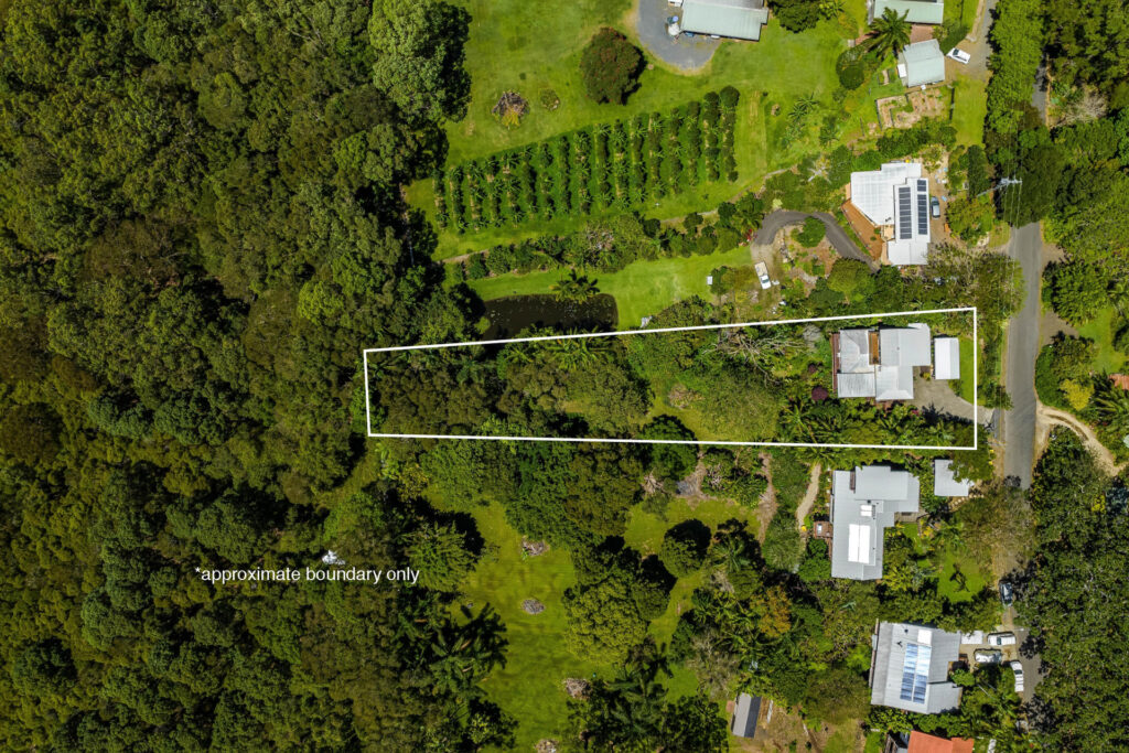 Sold - 20 Fig Tree Hill Drive - New Property in Lennox Head - Real Estate by McGrath 