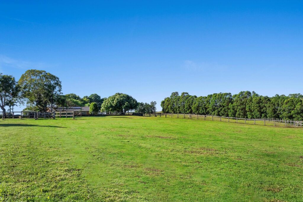 Sold - 609 Fernleigh Road - New Property in Fernleigh - Real Estate by Adriano Talone