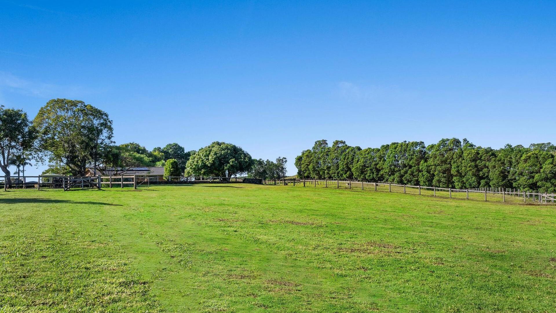 Sold - 609 Fernleigh Road - New Property in Fernleigh - Real Estate by Adriano Talone