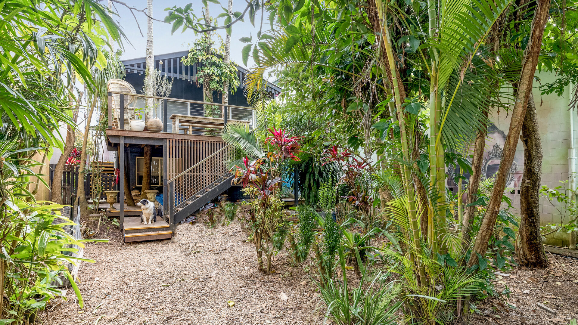 Sold - 44 Byron Street - New Property in Bangalow - Real Estate by McGrath 