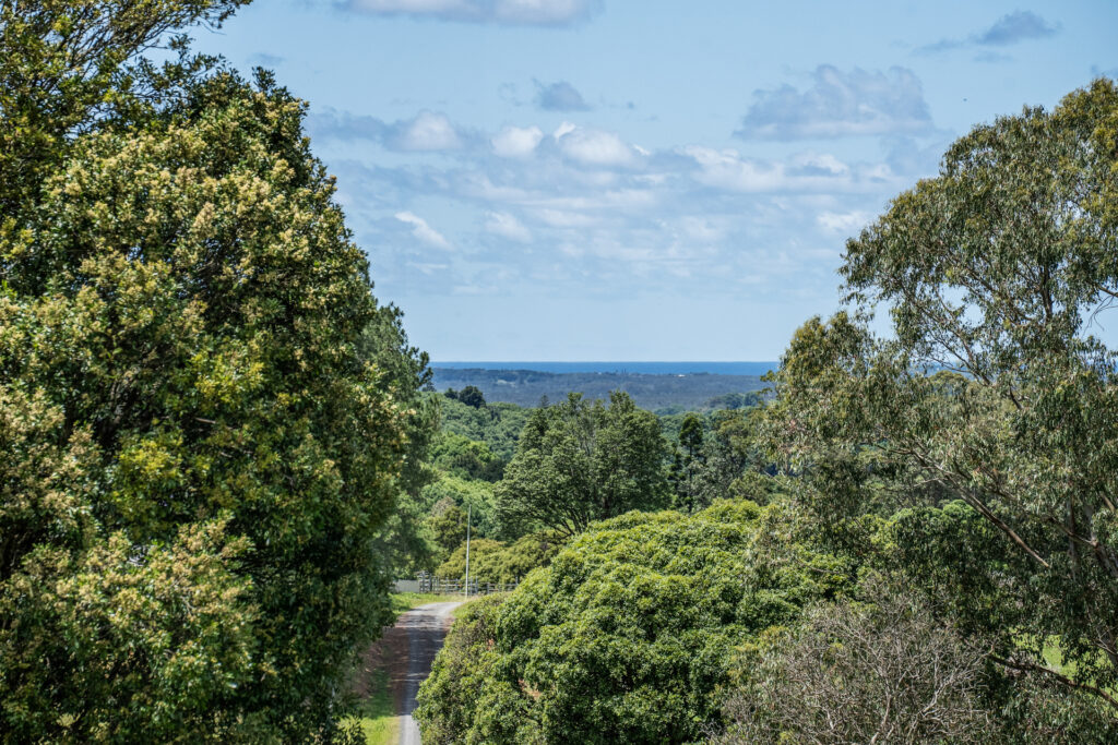 Sold - 359 Fernleigh Road - New Property in Fernleigh - Real Estate by Adriano Talone