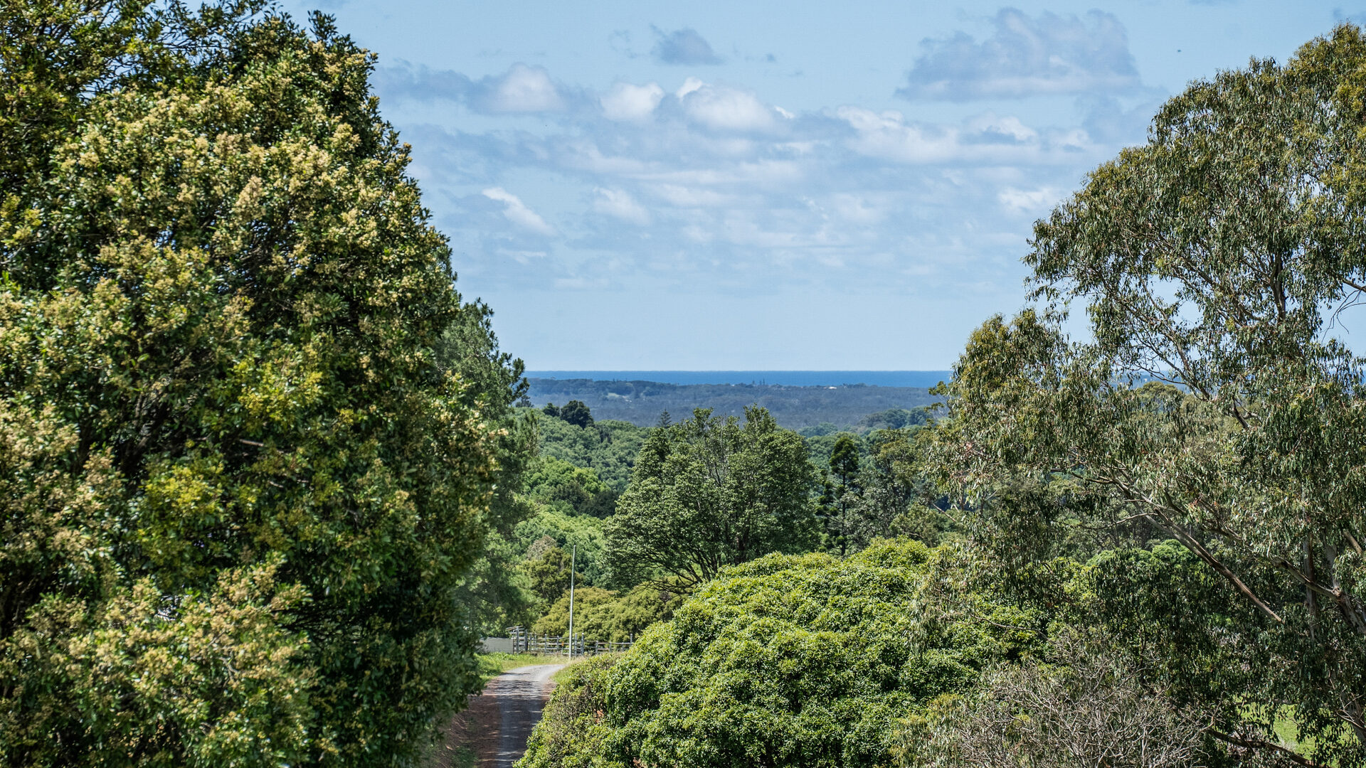 Sold - 359 Fernleigh Road - New Property in Fernleigh - Real Estate by Adriano Talone
