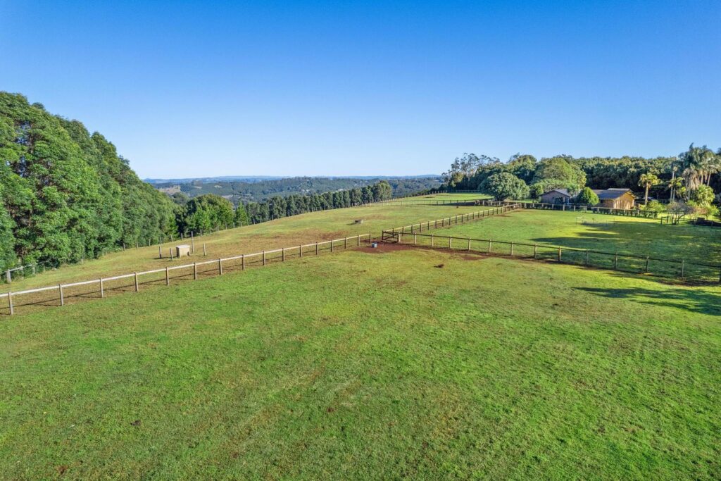 Sold - 609 Fernleigh Road - New Property in Fernleigh - Real Estate by Adriano Talone