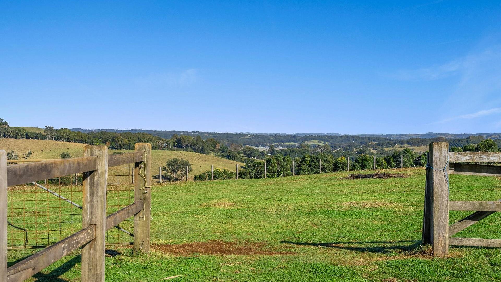 Sold - 609 Fernleigh Road - New Property in Fernleigh - Real Estate by Adriano Talone
