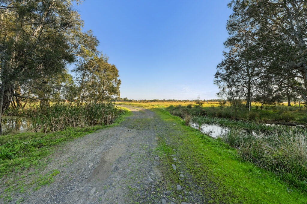 Sold - 199 Tamarind Drive - New Property in Ballina - Real Estate by Jamie Marshall