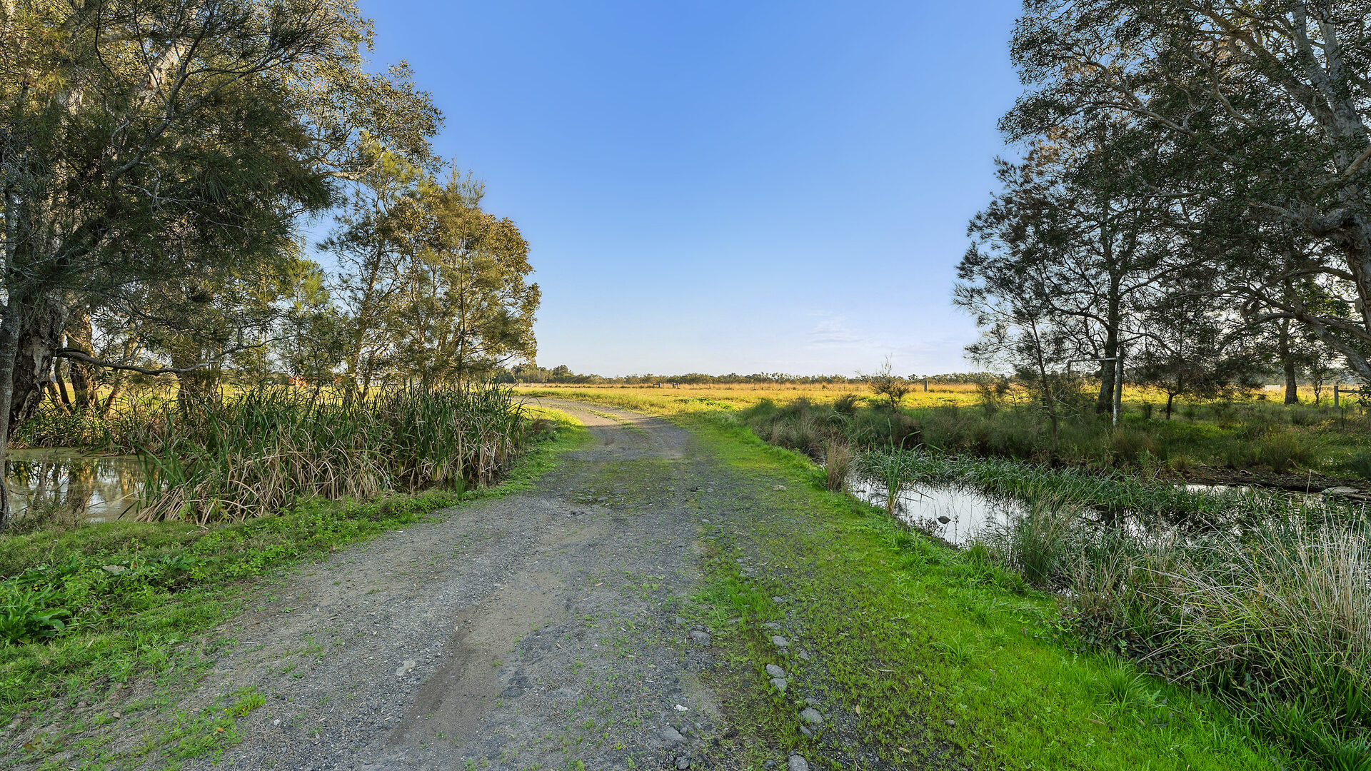 Sold - 199 Tamarind Drive - New Property in Ballina - Real Estate by Jamie Marshall