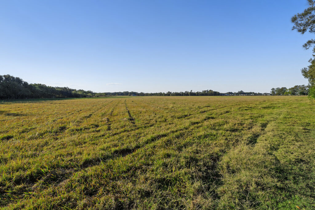 Sold - 199 Tamarind Drive - New Property in Ballina - Real Estate by Jamie Marshall
