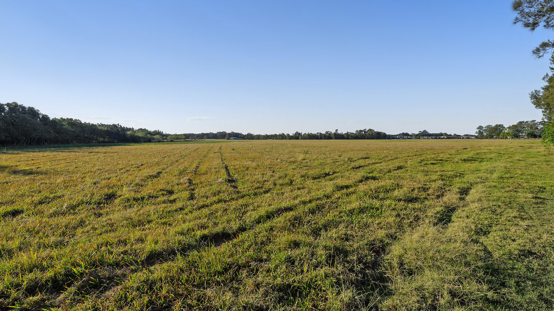 Sold - 199 Tamarind Drive - New Property in Ballina - Real Estate by Jamie Marshall
