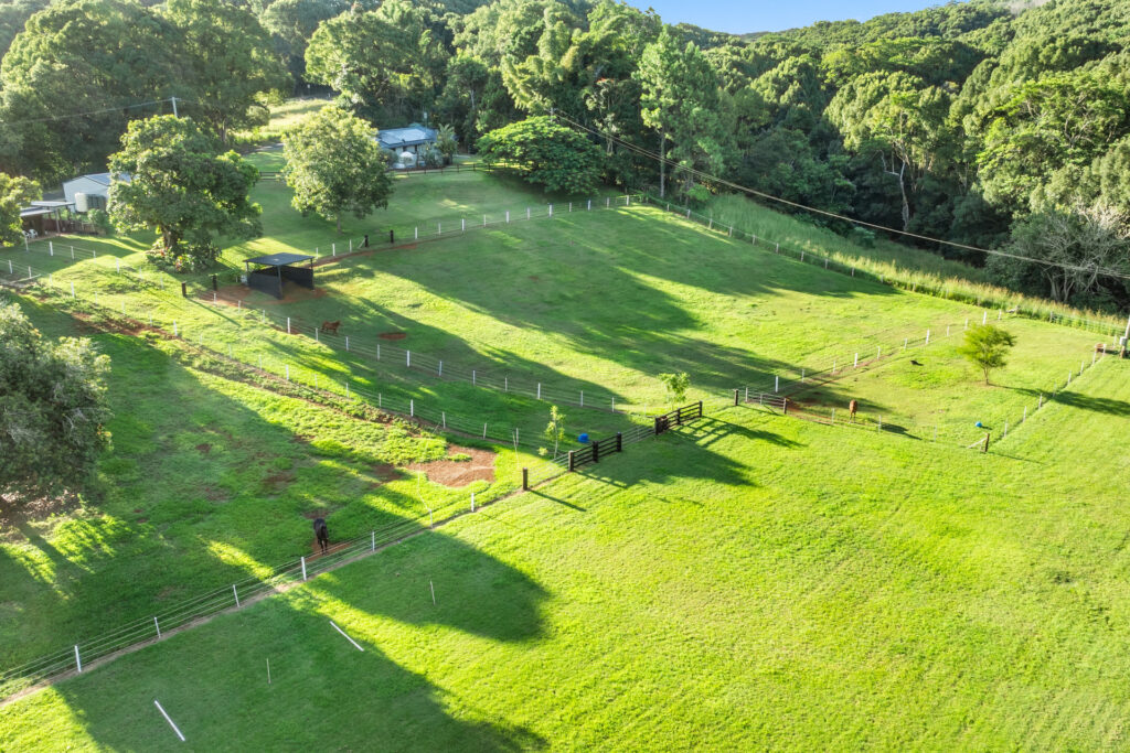 Sold - 216 Houghlahans Creek Road - New Property in Teven - Real Estate by Shawn Bishop
