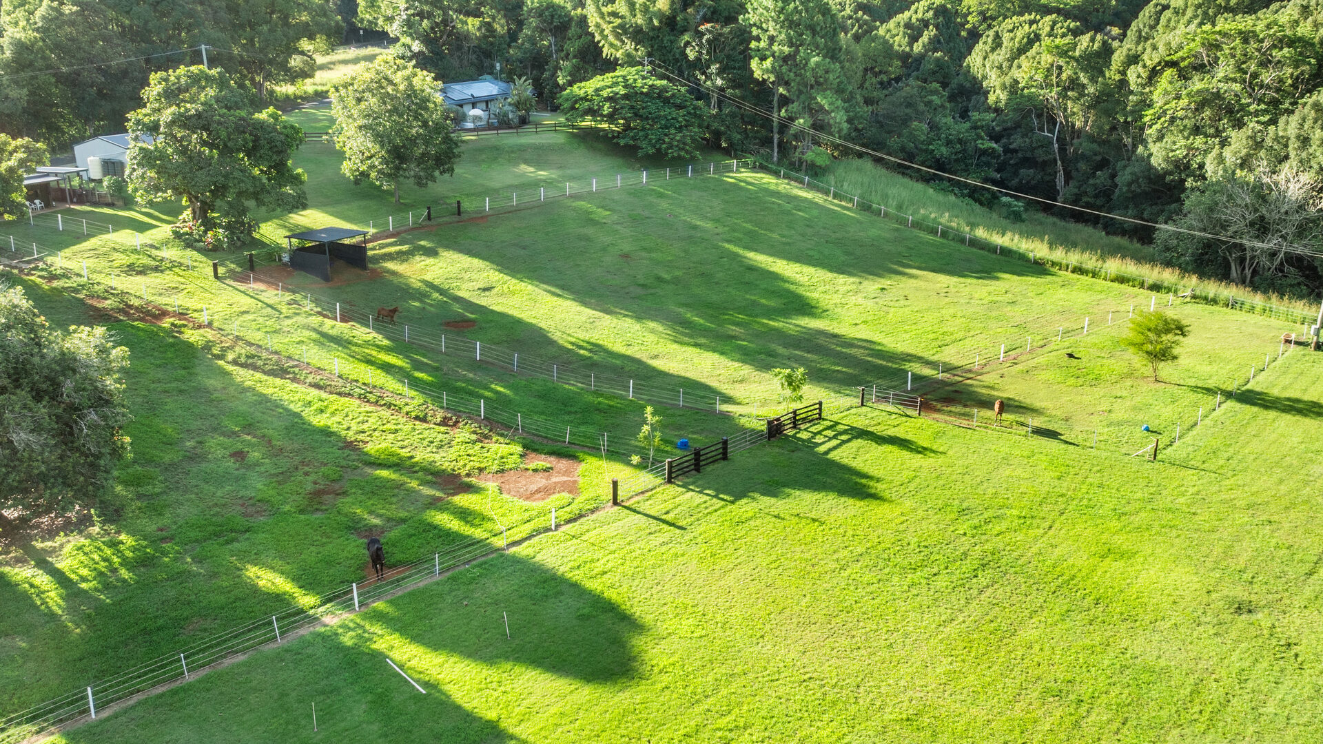 Sold - 216 Houghlahans Creek Road - New Property in Teven - Real Estate by Shawn Bishop