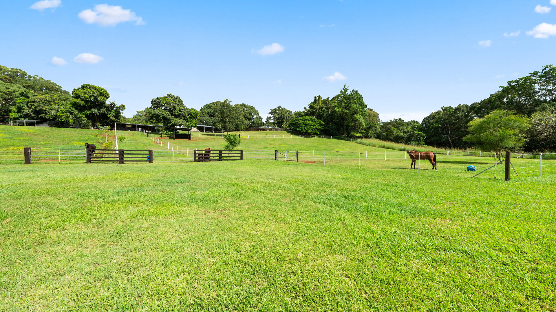 Sold - 216 Houghlahans Creek Road - New Property in Teven - Real Estate by Shawn Bishop