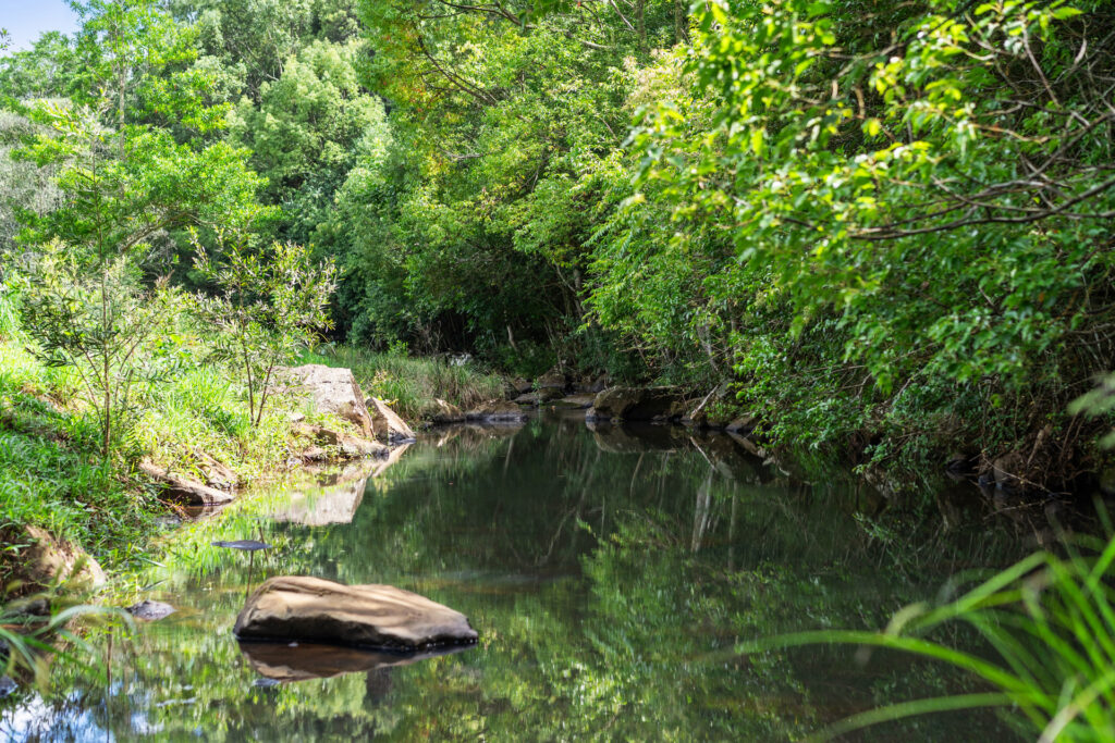 Sold - 216 Houghlahans Creek Road - New Property in Teven - Real Estate by Shawn Bishop