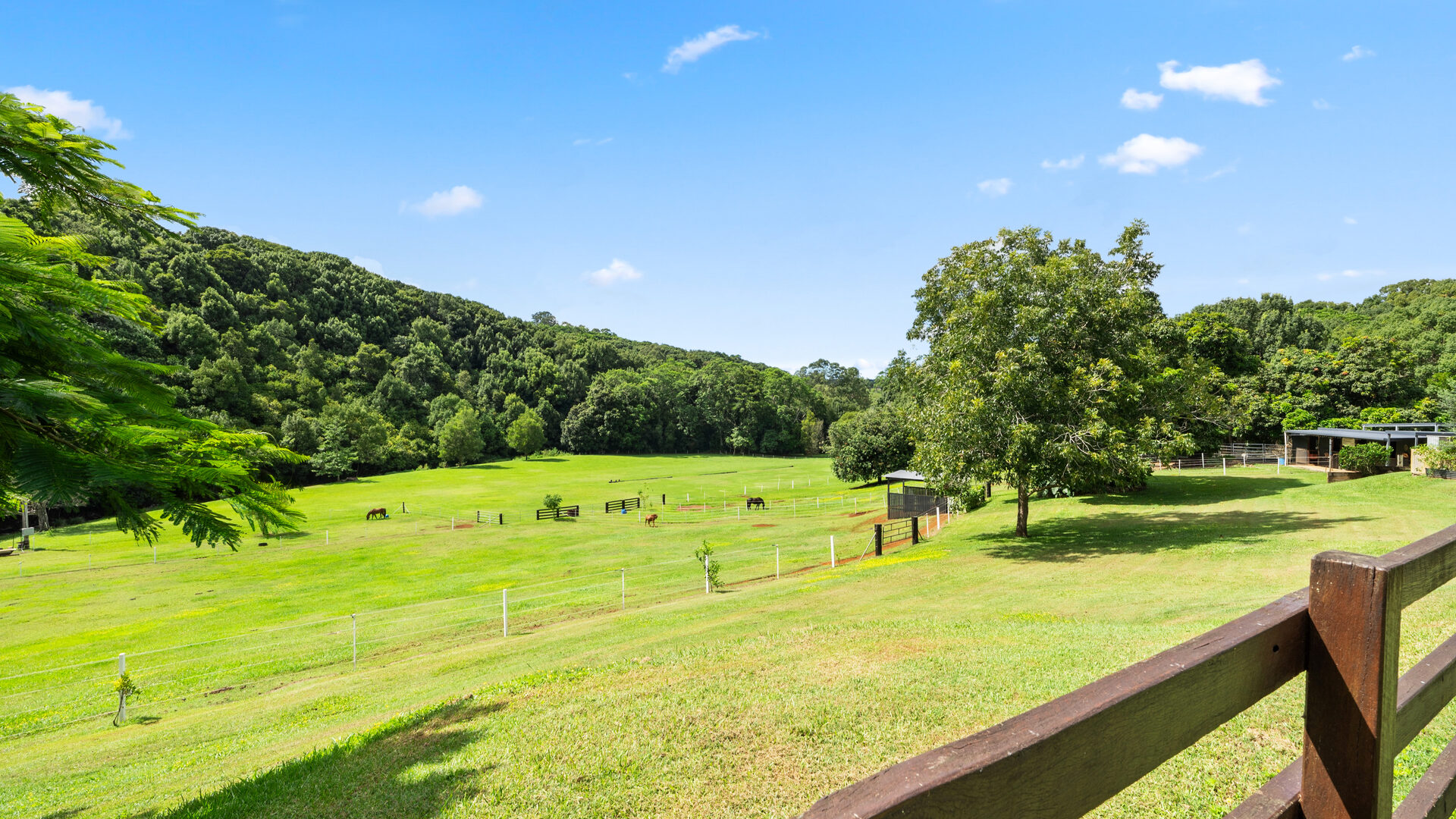 Sold - 216 Houghlahans Creek Road - New Property in Teven - Real Estate by Shawn Bishop