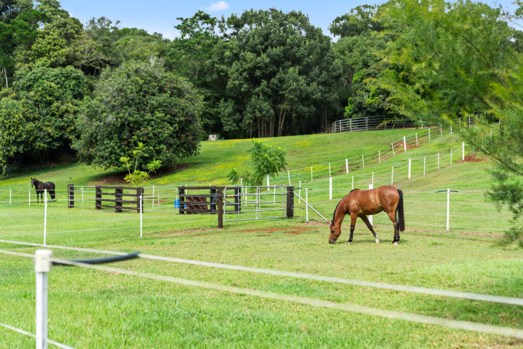 Sold - 216 Houghlahans Creek Road - New Property in Teven - Real Estate by Shawn Bishop