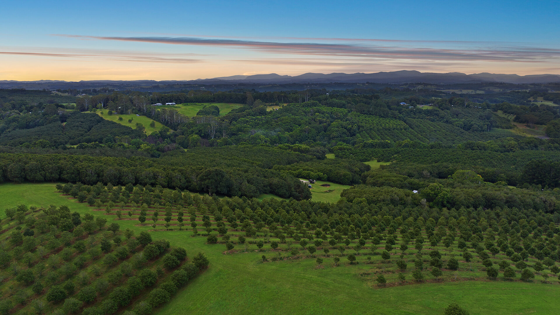 Sold - 1192 Eltham Road - New Property in Alstonvale - Real Estate by Bill Johnston