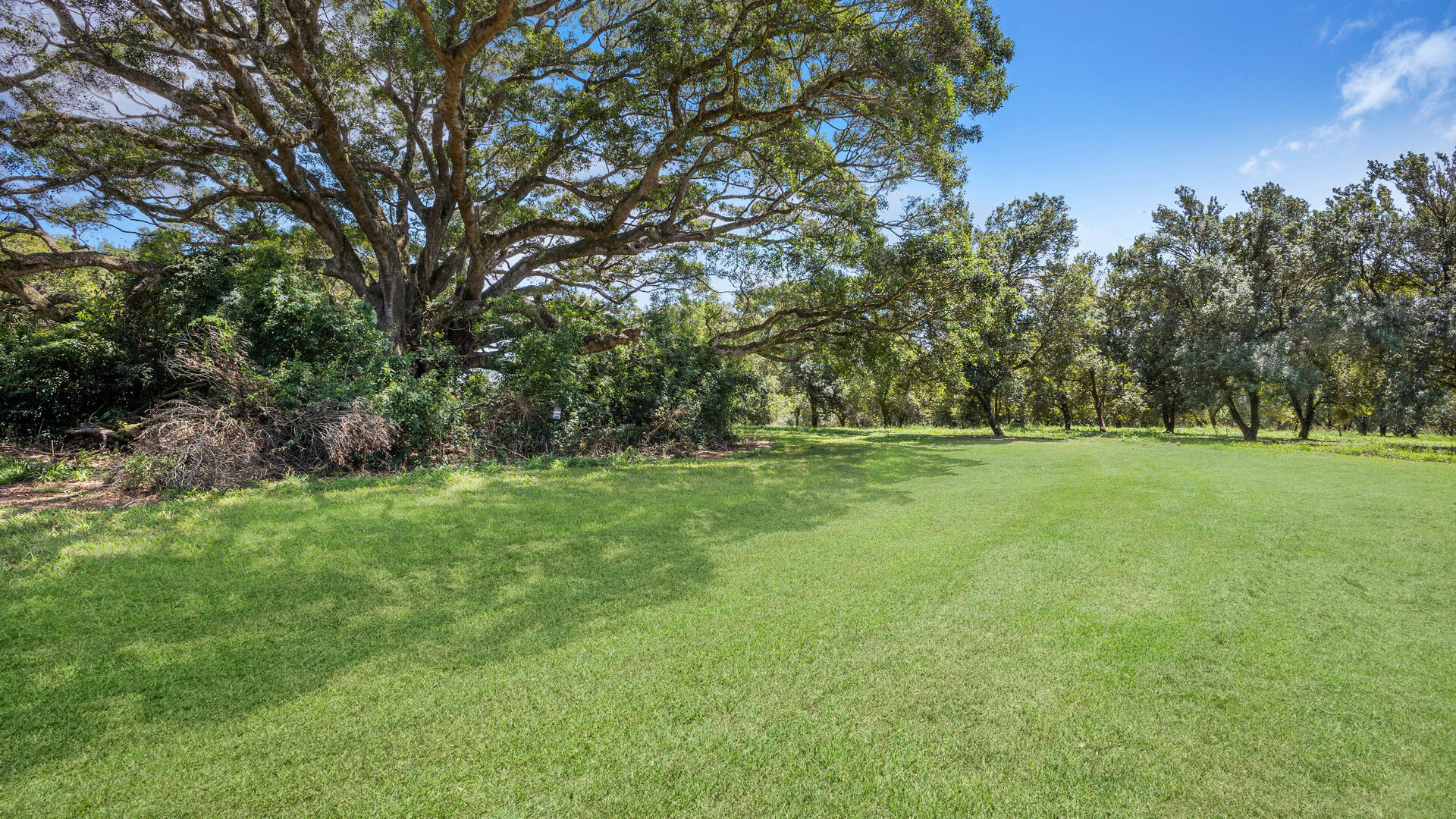 Sold - 1192 Eltham Road - New Property in Alstonvale - Real Estate by Bill Johnston