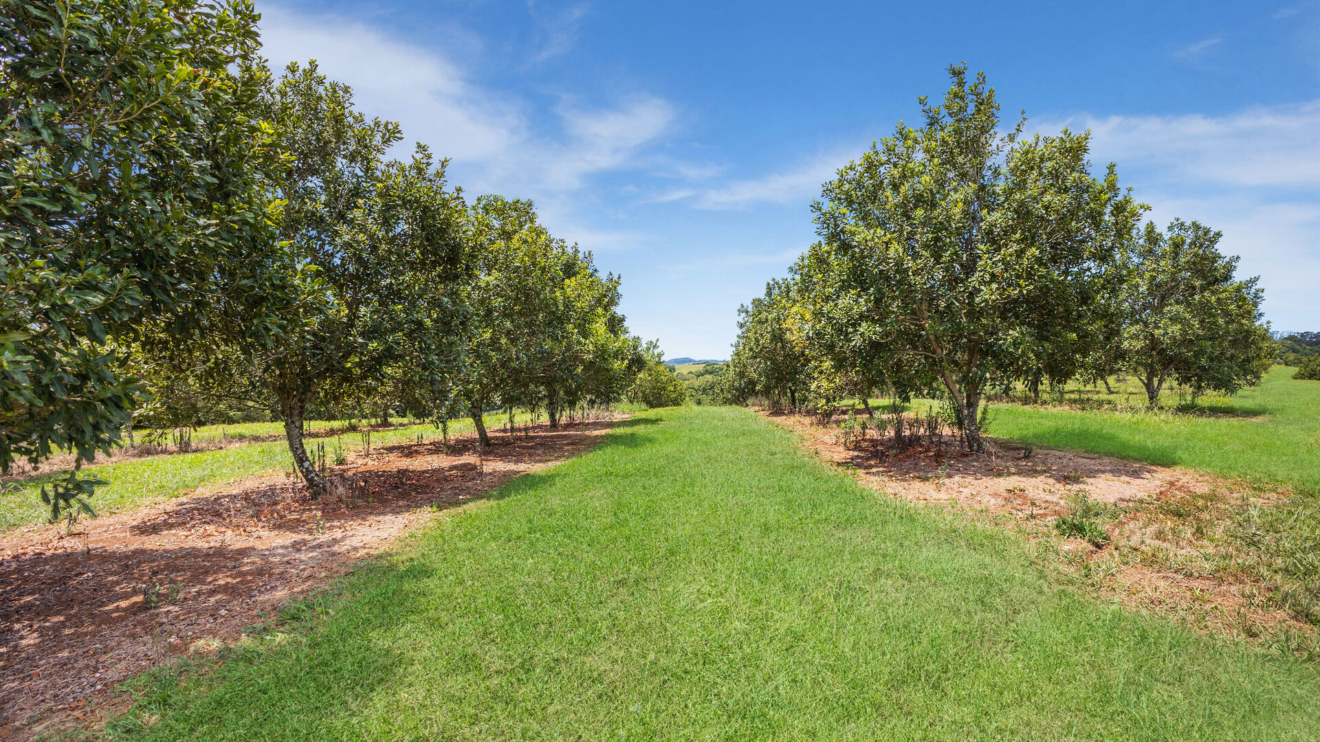 Sold - 1192 Eltham Road - New Property in Alstonvale - Real Estate by Bill Johnston