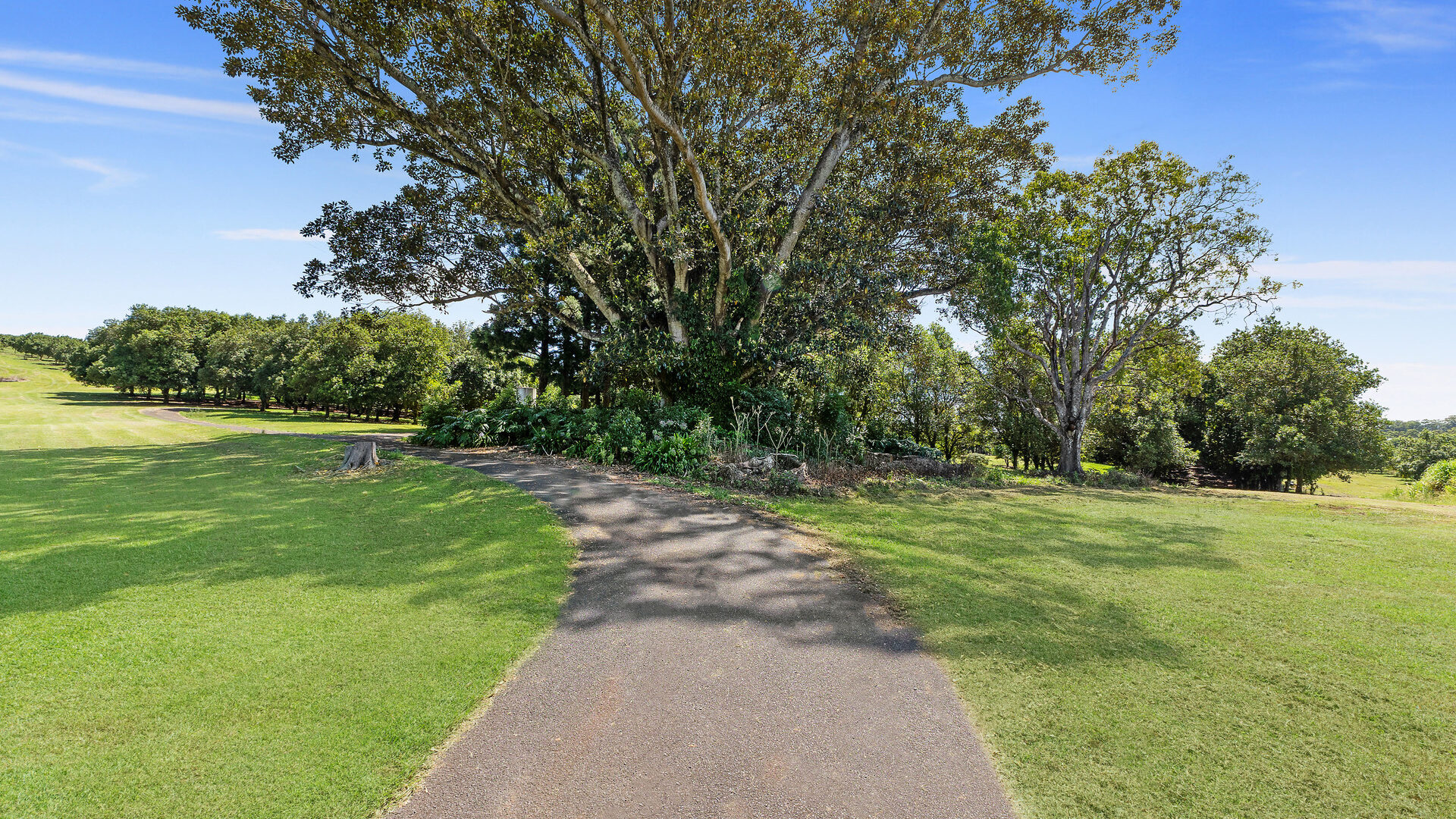 Sold - 1192 Eltham Road - New Property in Alstonvale - Real Estate by Bill Johnston