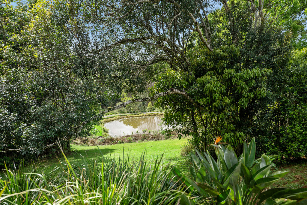 Sold - 8/231 Fowlers Lane - New Property in Bangalow - Real Estate by Nick Dunn