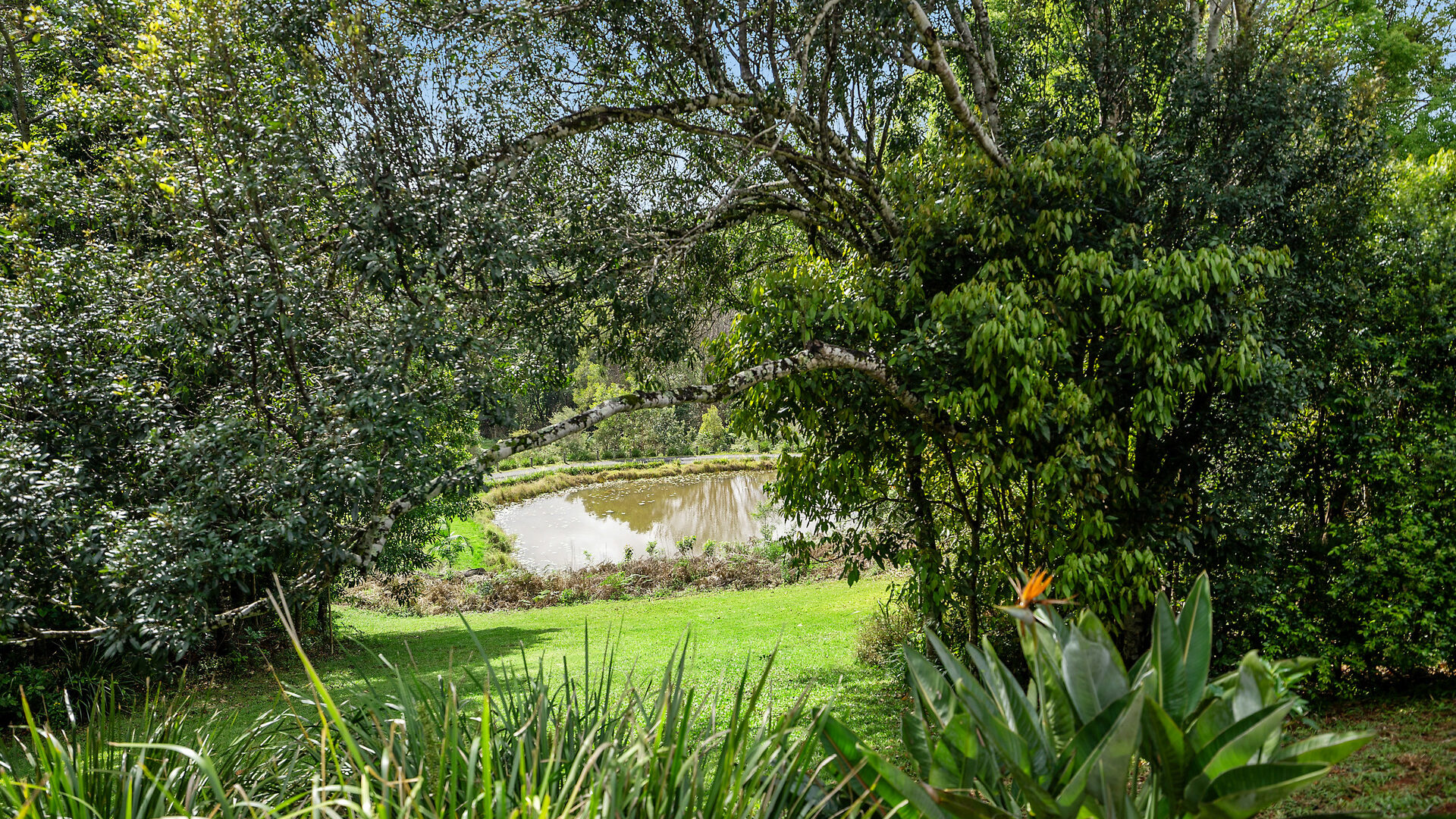 Sold - 8/231 Fowlers Lane - New Property in Bangalow - Real Estate by Nick Dunn