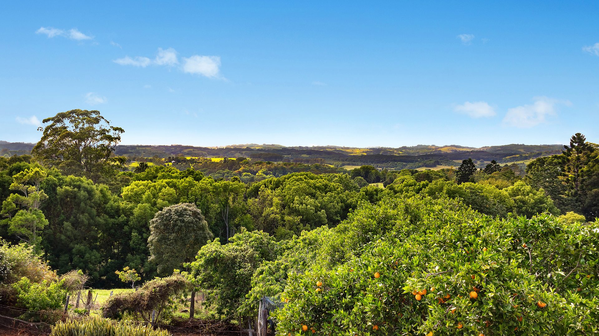 Sold - 62 Main Street - New Property in Clunes - Real Estate by Ryan McFarland