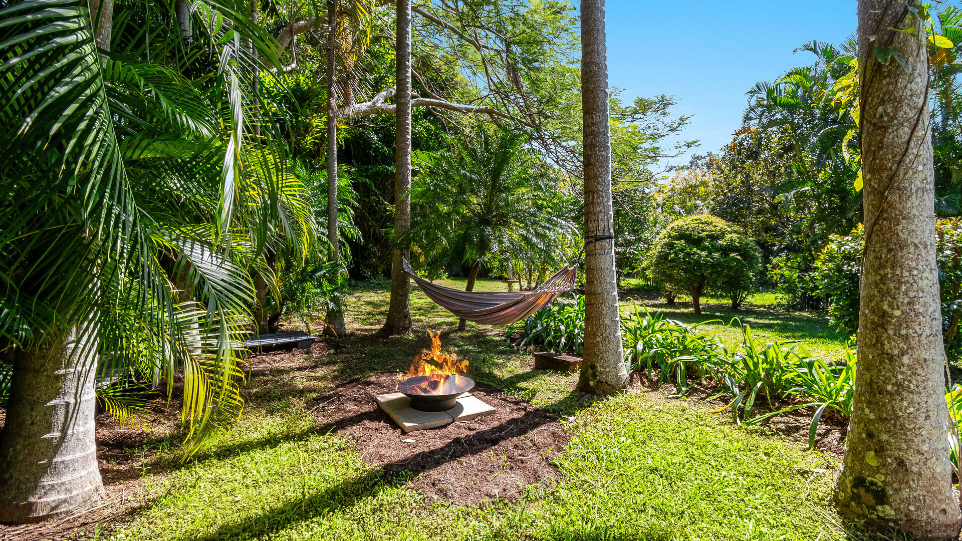Sold - 34 Fig Tree Hill Drive - New Property in Lennox Head - Real Estate by Nick Bordin