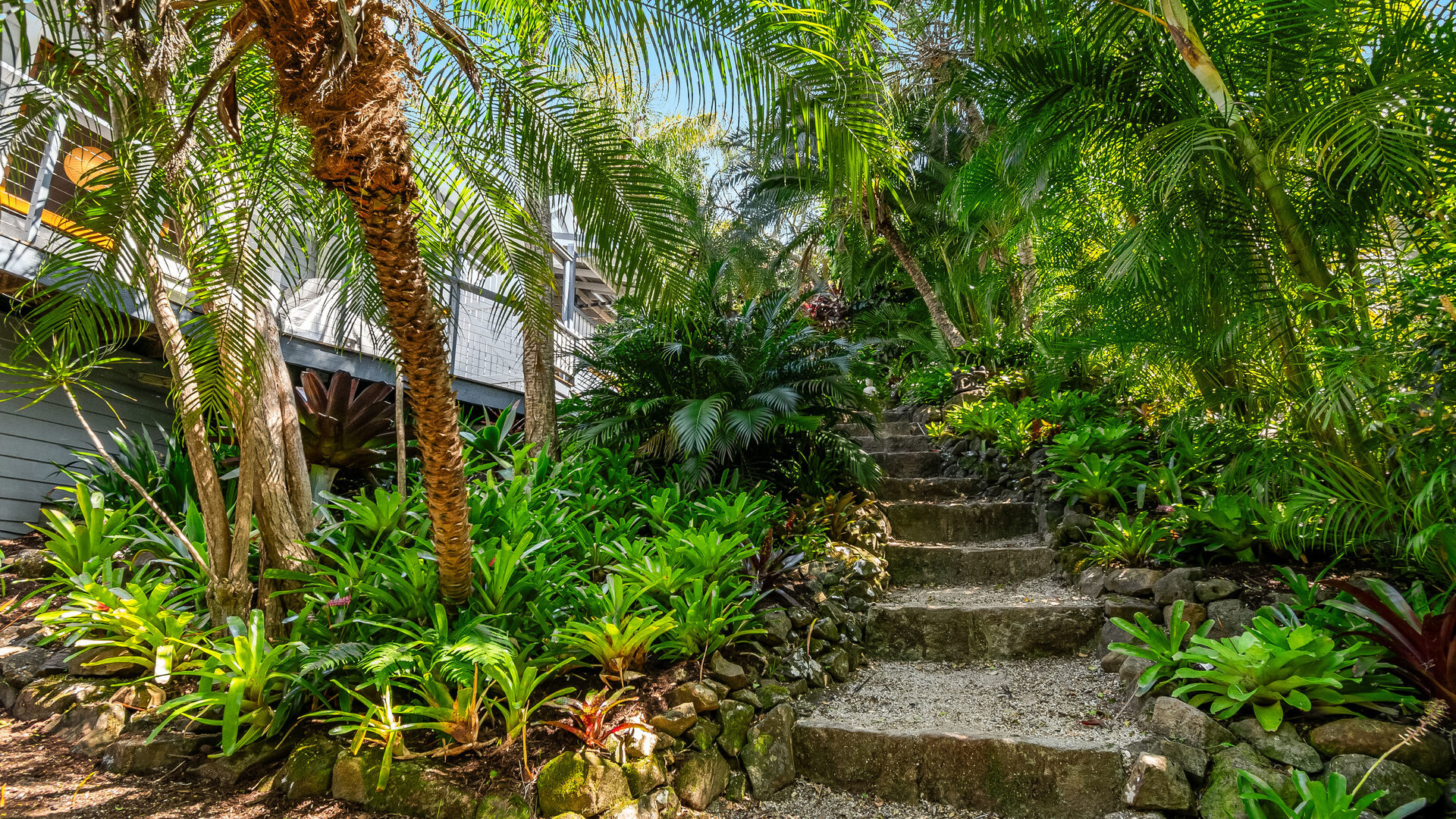 Sold - 34 Fig Tree Hill Drive - New Property in Lennox Head - Real Estate by Nick Bordin