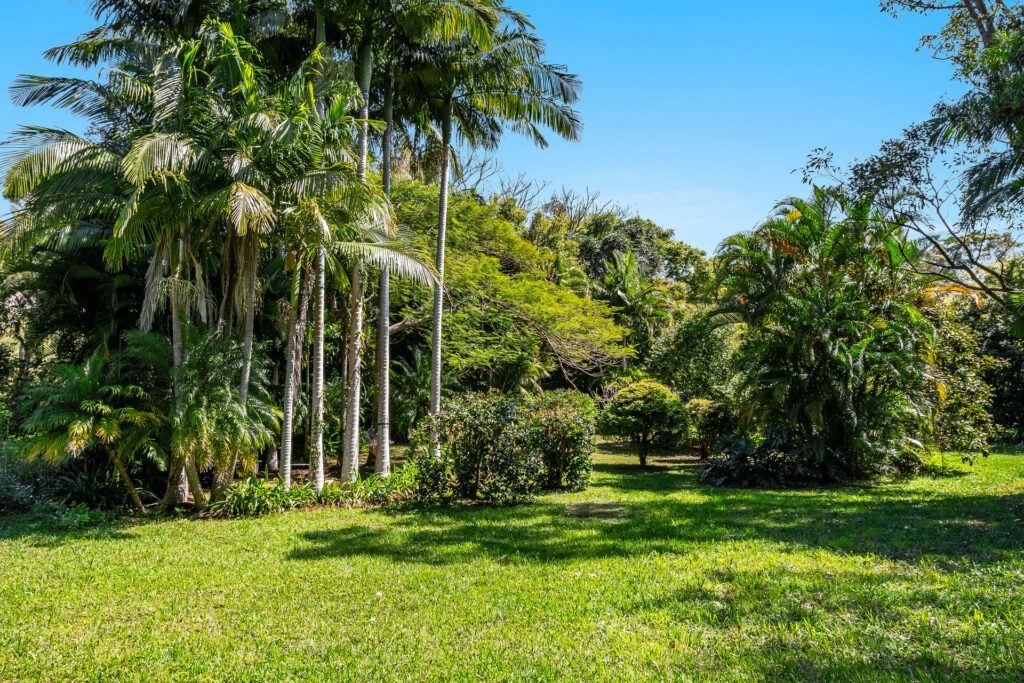 Sold - 34 Fig Tree Hill Drive - New Property in Lennox Head - Real Estate by Nick Bordin