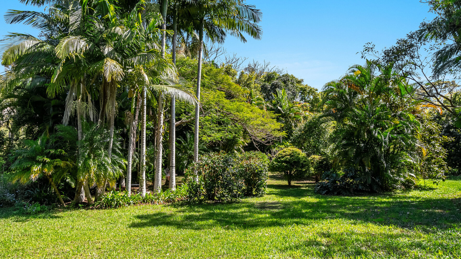 Sold - 34 Fig Tree Hill Drive - New Property in Lennox Head - Real Estate by Nick Bordin