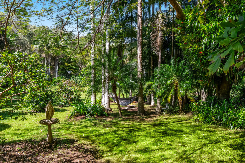 Sold - 34 Fig Tree Hill Drive - New Property in Lennox Head - Real Estate by Nick Bordin