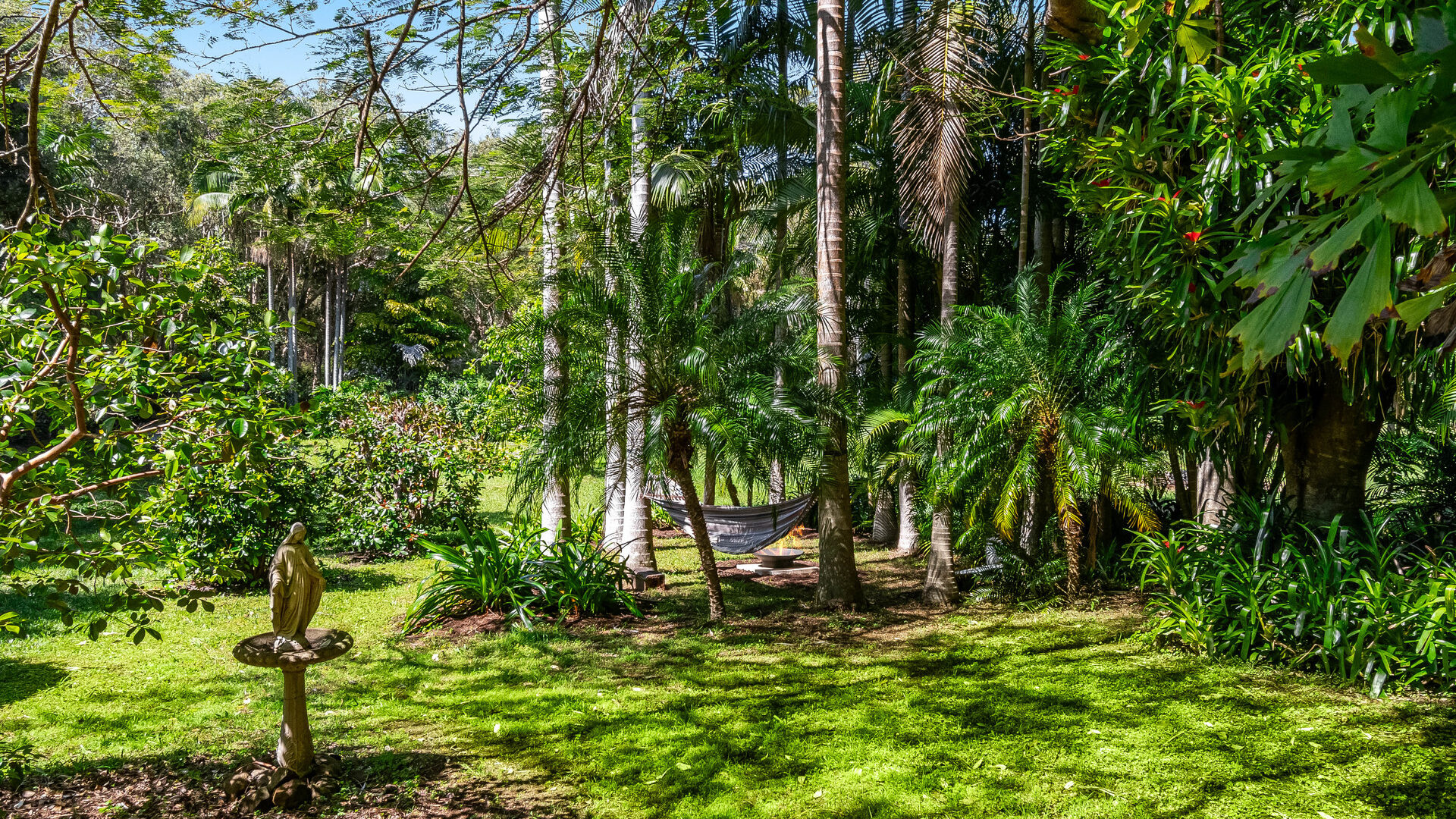 Sold - 34 Fig Tree Hill Drive - New Property in Lennox Head - Real Estate by Nick Bordin