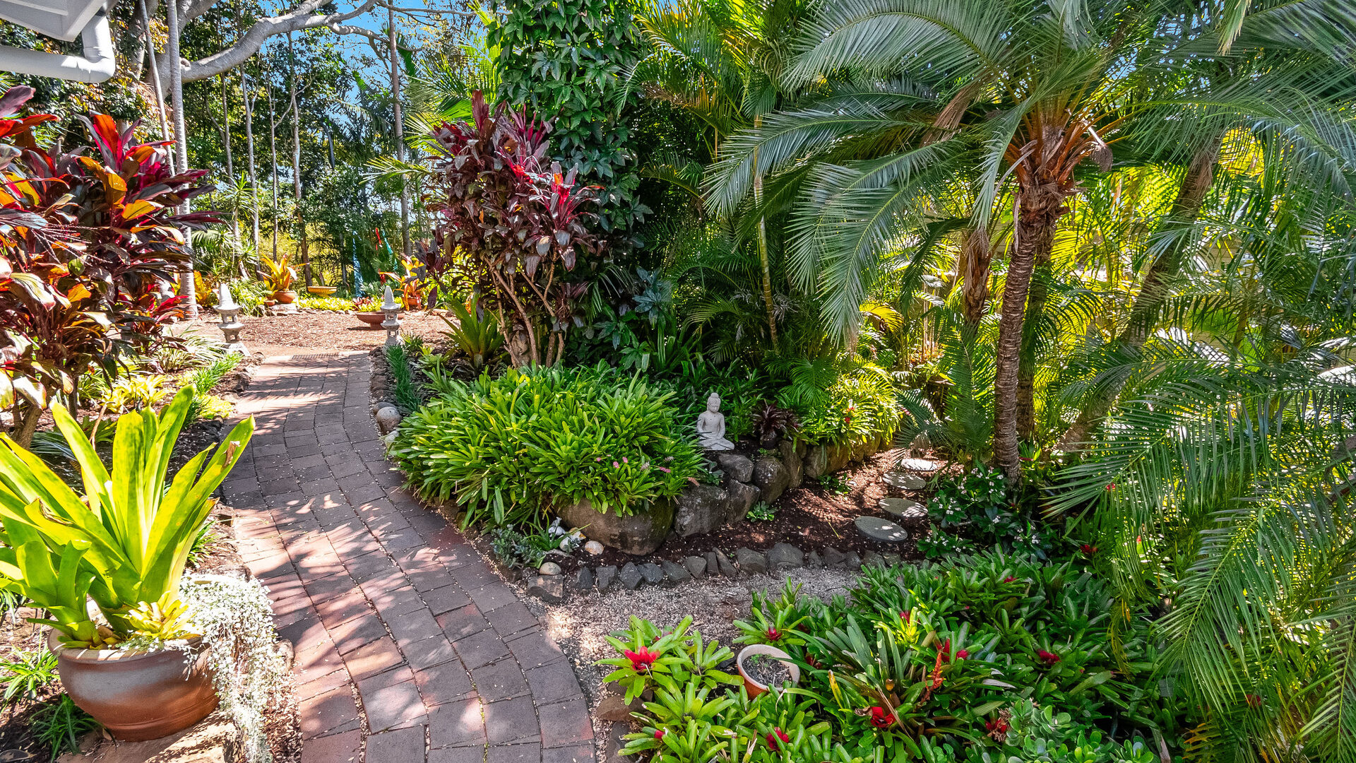 Sold - 34 Fig Tree Hill Drive - New Property in Lennox Head - Real Estate by Nick Bordin