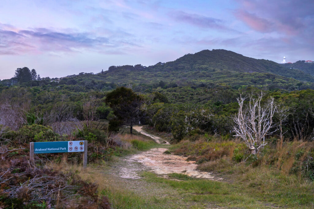 Sold - 2/3 Milne Street - New Property in Byron Bay - Real Estate by Ollie Charkos