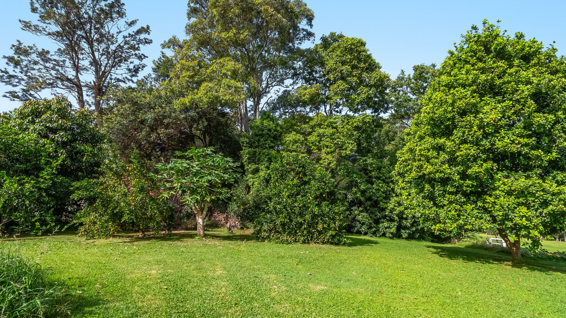 Sold - 70 Ross Lane - New Property in Kinvara - Real Estate by Mal Hamblin