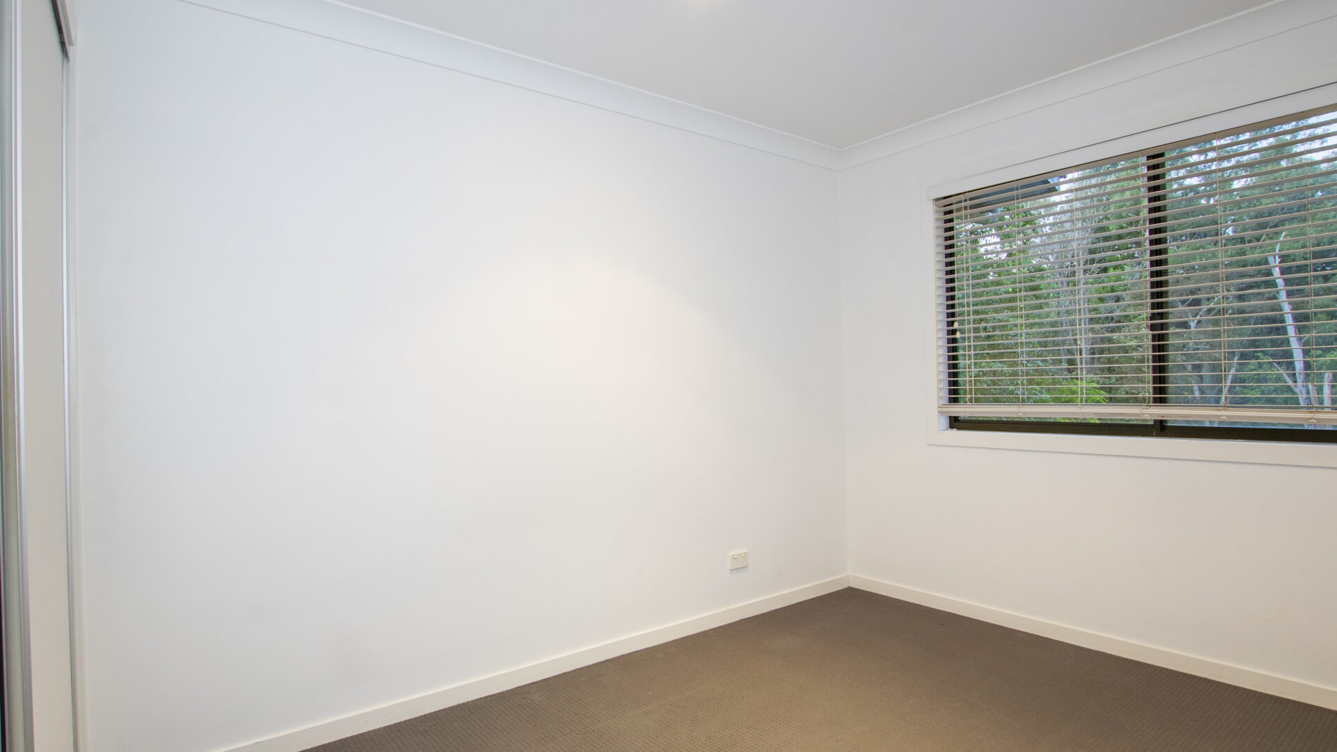 Leased - 52 Palmvale Drive - New Property in GOONELLABAH - Real Estate by Zane Grier