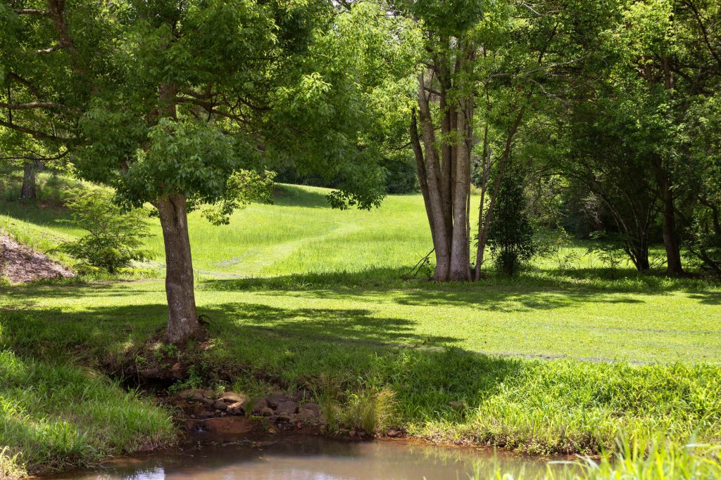 Sold - 602 Friday Hut Road - New Property in Possum Creek - Real Estate by Nick Dunn