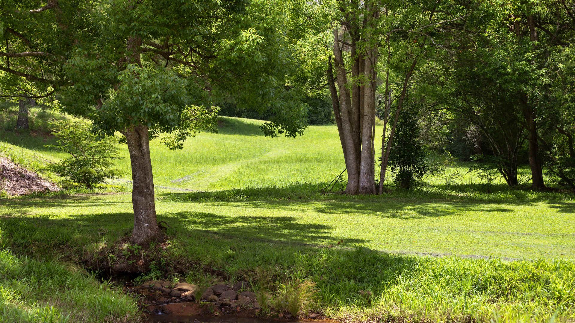 Sold - 602 Friday Hut Road - New Property in Possum Creek - Real Estate by Nick Dunn