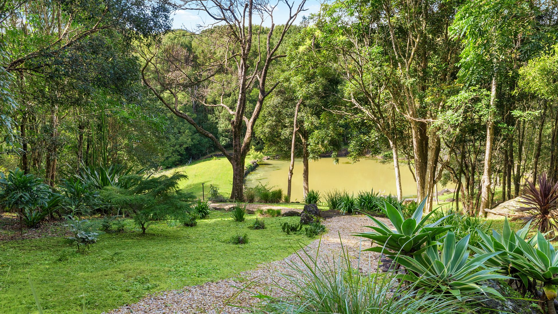 Sold - 142 Coorabell Road - New Property in Federal - Real Estate by Ian Daniels