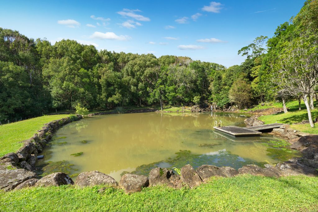 Sold - 142 Coorabell Road - New Property in Federal - Real Estate by Ian Daniels