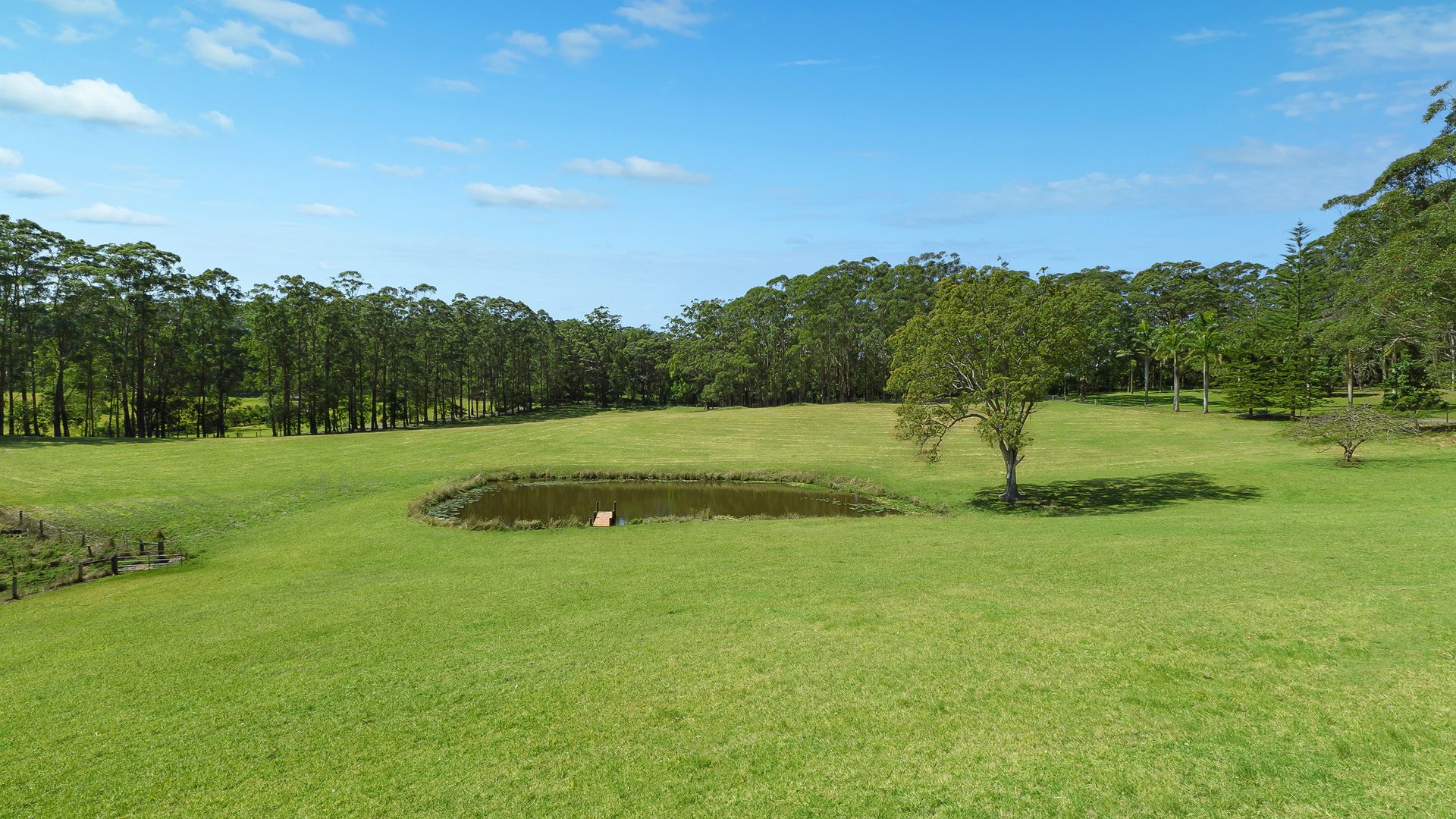 Sold - 96 Forest Road - New Property in Uralba - Real Estate by Bill Johnston