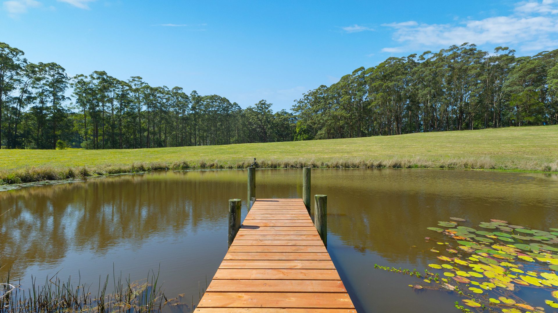 Sold - 96 Forest Road - New Property in Uralba - Real Estate by Bill Johnston