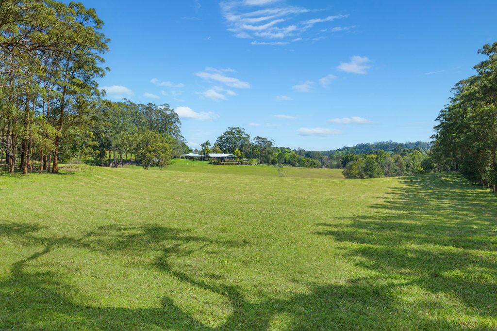Sold - 96 Forest Road - New Property in Uralba - Real Estate by Bill Johnston