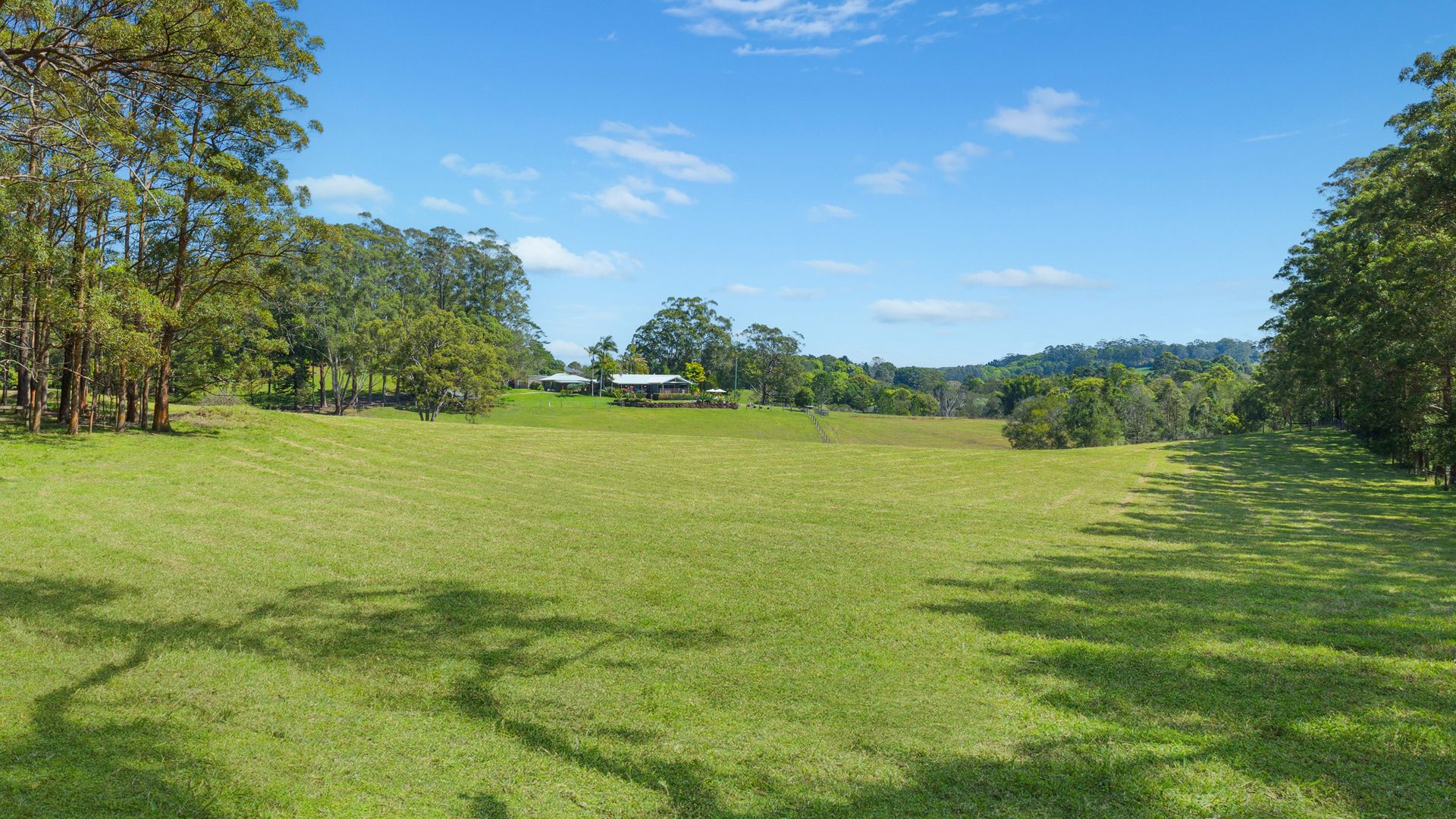 Sold - 96 Forest Road - New Property in Uralba - Real Estate by Bill Johnston