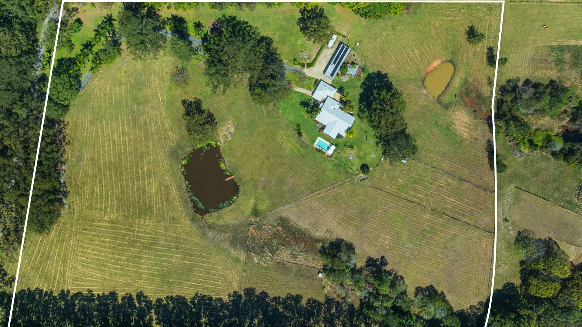 Sold - 96 Forest Road - New Property in Uralba - Real Estate by Bill Johnston
